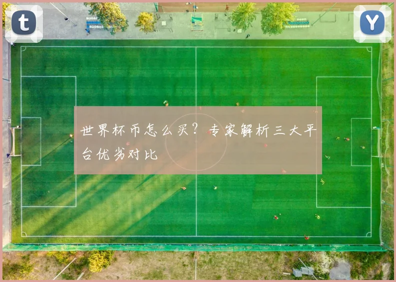 世界杯币怎么买?专家解析三大平台优劣对比
