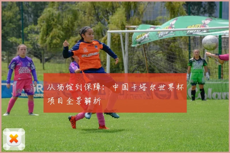 从场馆到保障：中国卡塔尔世界杯项目全景解析