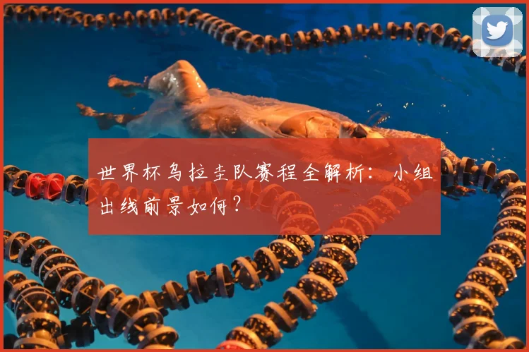 世界杯乌拉圭队赛程全解析:小组出线前景如何?