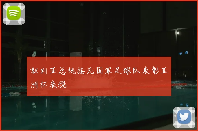 叙利亚总统接见国家足球队表彰亚洲杯表现